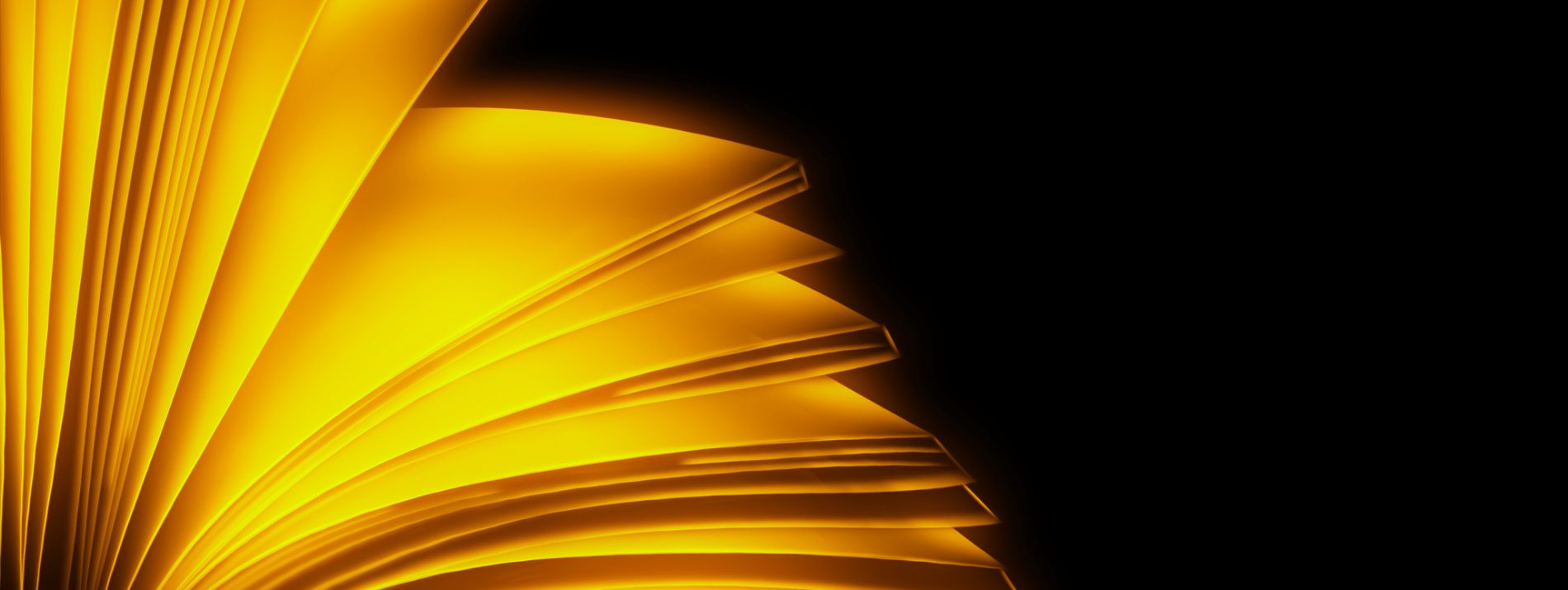 Дайджест оновлення Цифрової платформи професійної освіти "Світ професій"